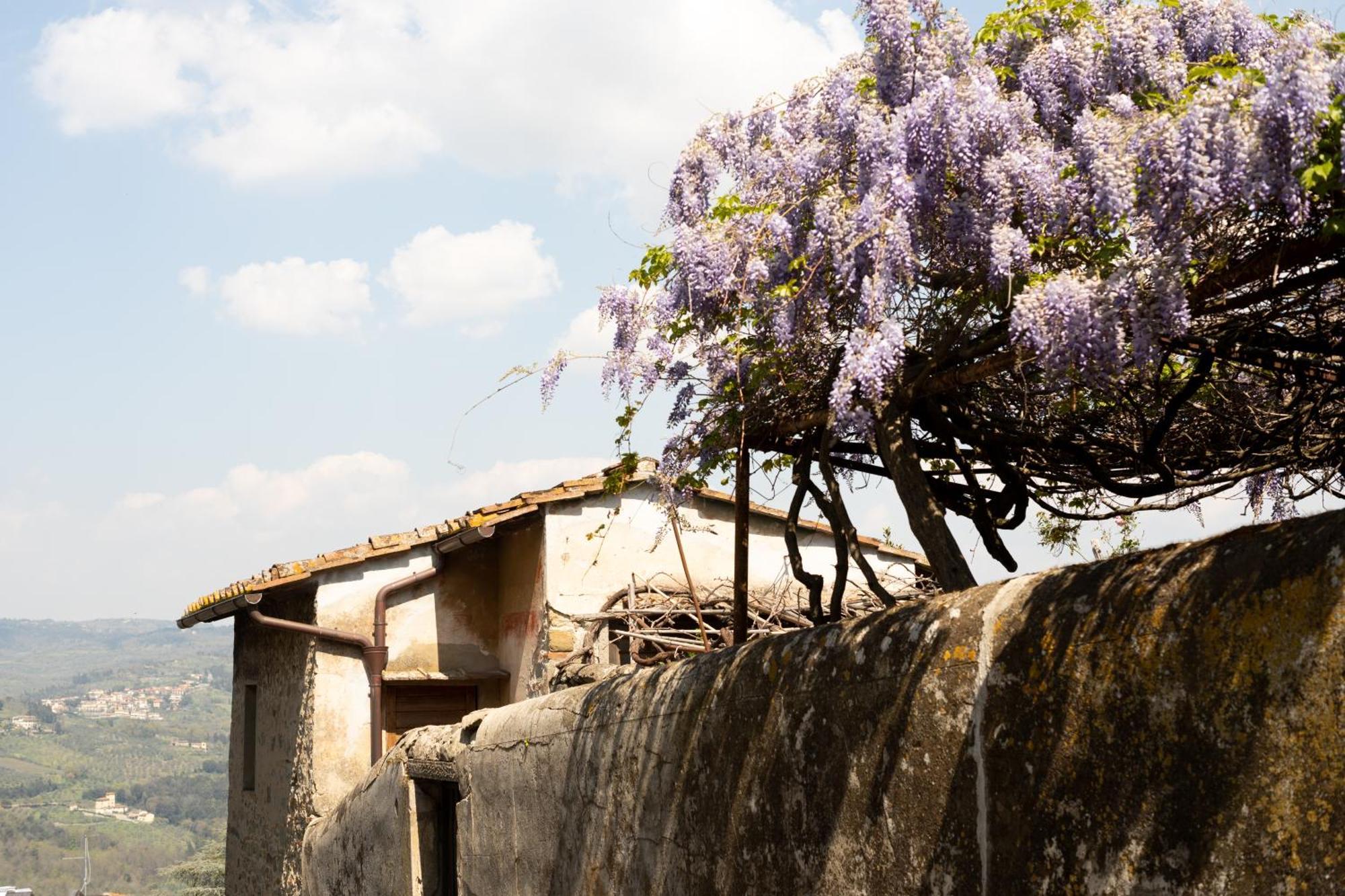 B&B Le Cannelle Fiesole Exterior foto