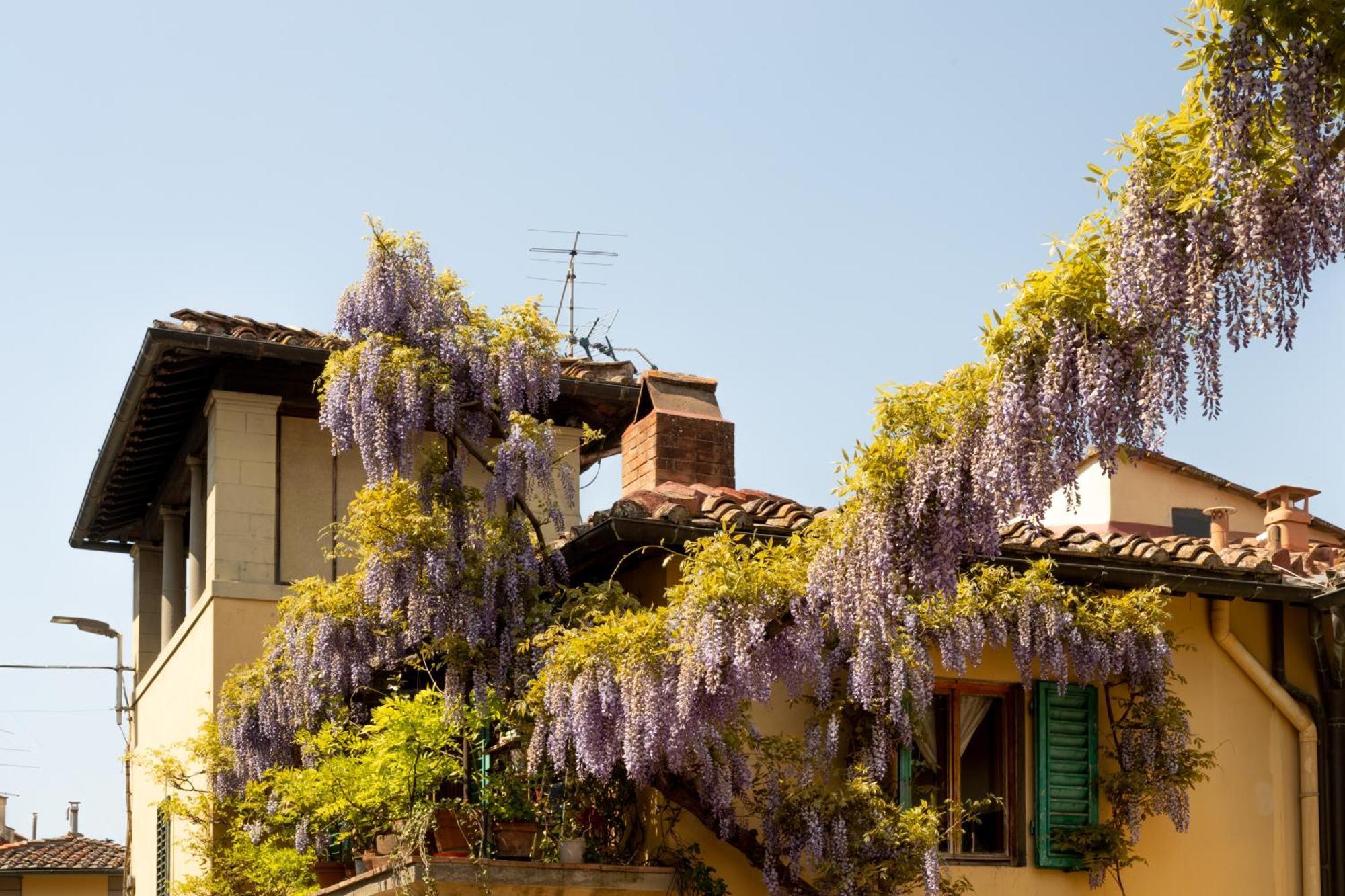 B&B Le Cannelle Fiesole Exterior foto